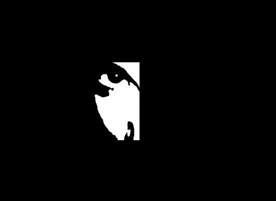 Band Background